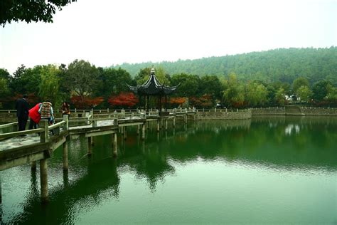 ¿Buscas un oasis de paz y belleza natural en Lu'an? ¡Visita el exuberante Parque Wangshan!